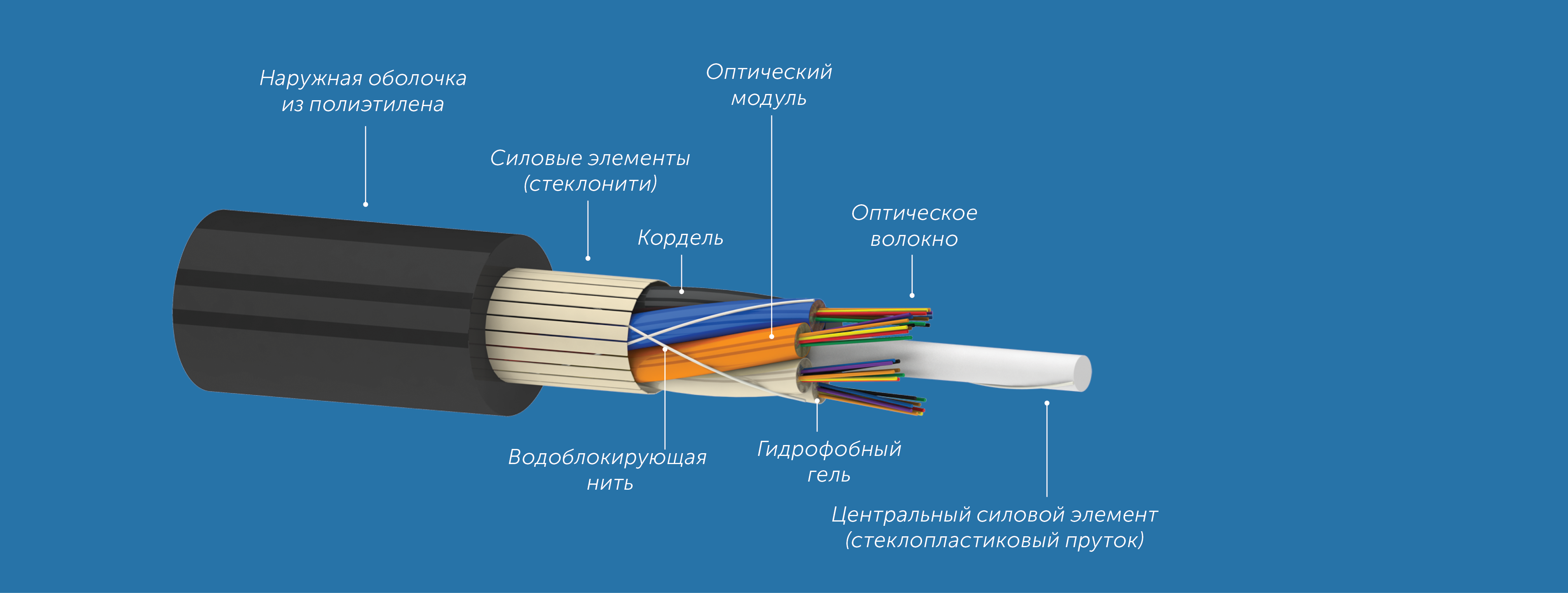 dc056db3d41511eb80da000c29d70fd6_c50203a63c1311ec80dd000c29d70fd6